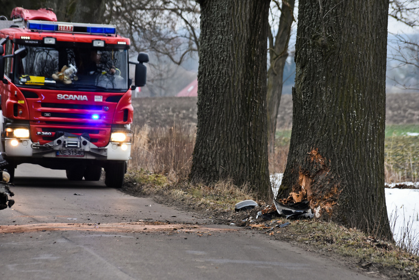 54-latek uderzył renault w drzewo