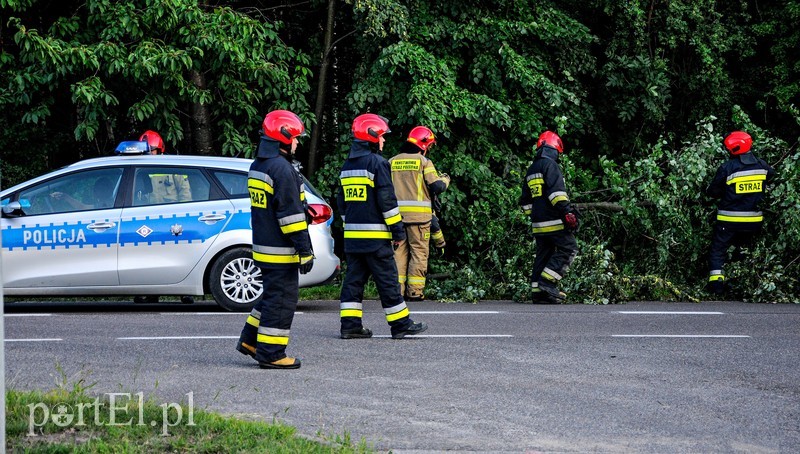 Pijany i bez uprawnień wjechał do rowu