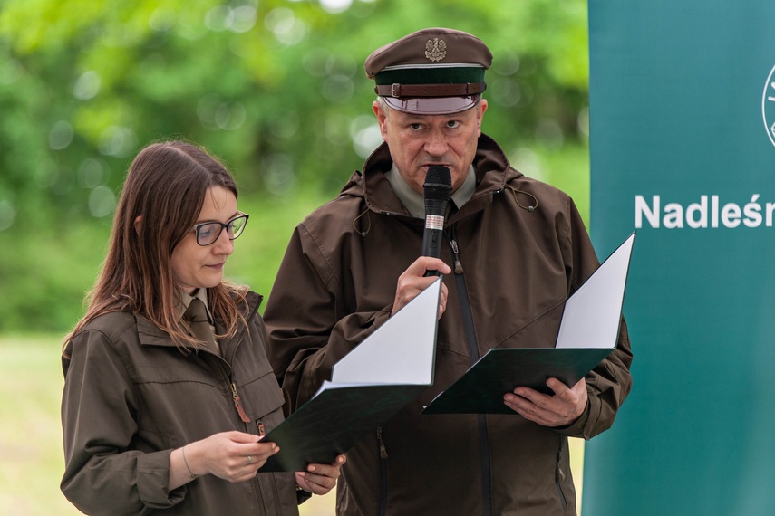 Tysiąc drzew na minutę