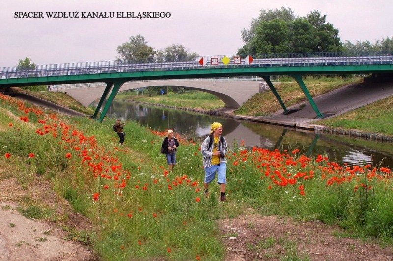 Wycieczka nad kanał (w obiektywie Henryka Myślińskiego)