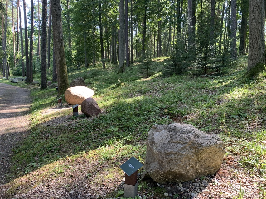 Leśne Arboretum Warmii i Mazur