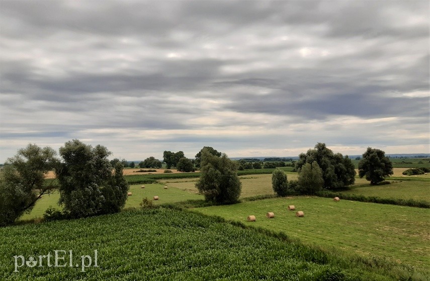 Wycieczka rowerowa - pochylnia Jelenie
