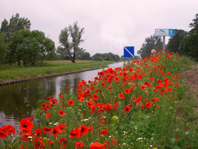 Wycieczka nad kanał (w obiektywie Henryka Myślińskiego)