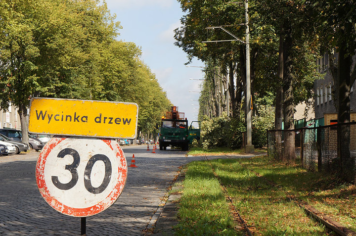 Będzie bezpieczniej - bez lipy