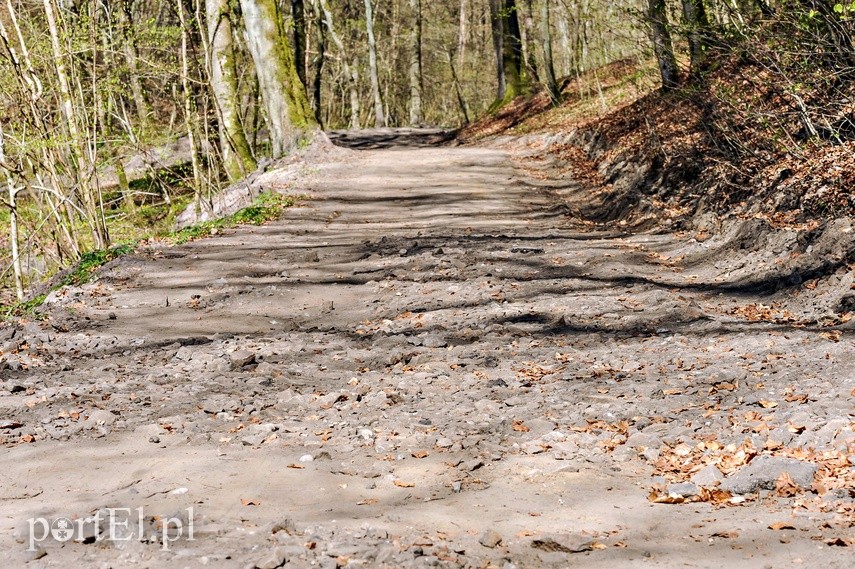 Remont szlaku czerwonego w Bażantarni