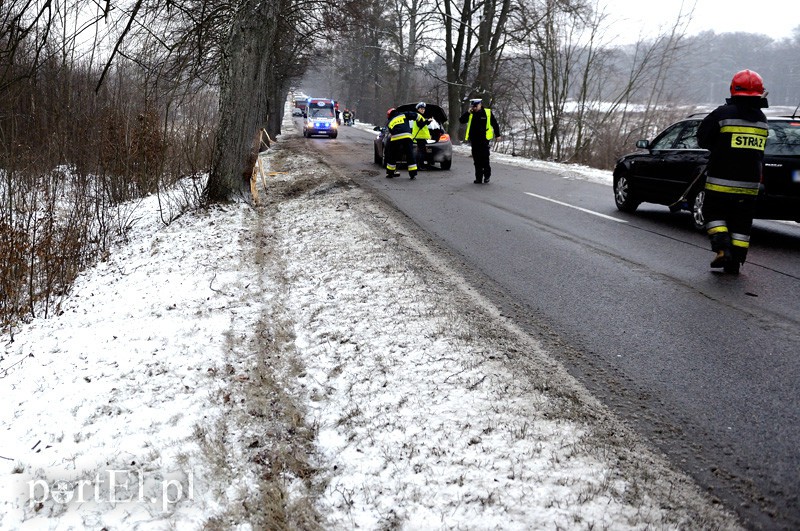 Dąbrowa Kolonia: oplem w dwa drzewa