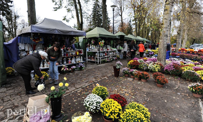 Cmentarz Agrykola, 31.10.2017