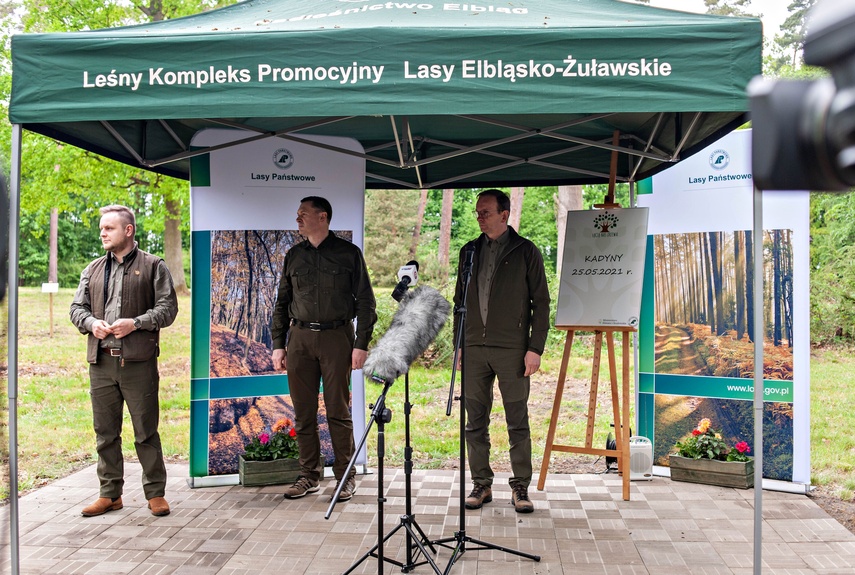Tysiąc drzew na minutę