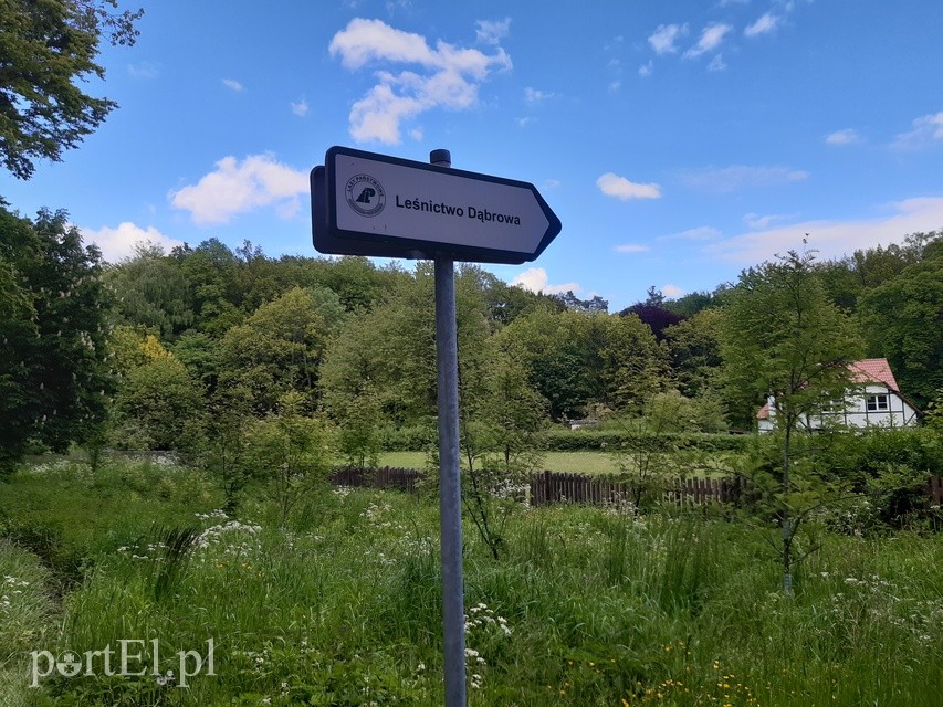 Wycieczka rowerowa do Jagodnika