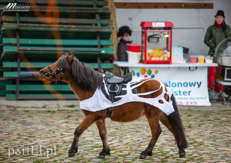 Straszne zawody z cyklu Pony Cup za nami