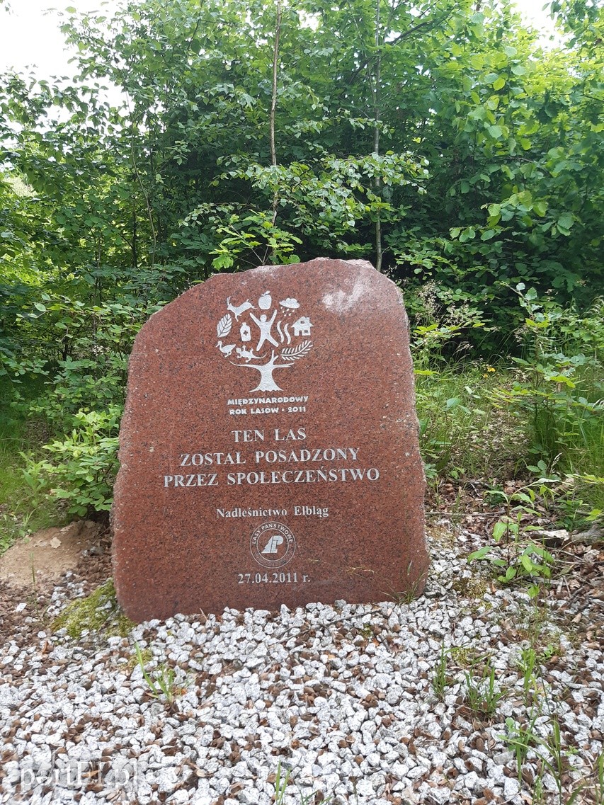 Wycieczka rowerowa Pagórki, Łęcze