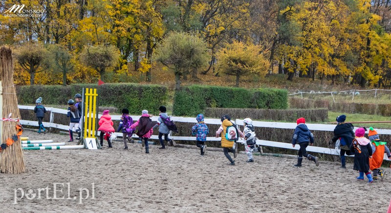 Straszne zawody z cyklu Pony Cup za nami