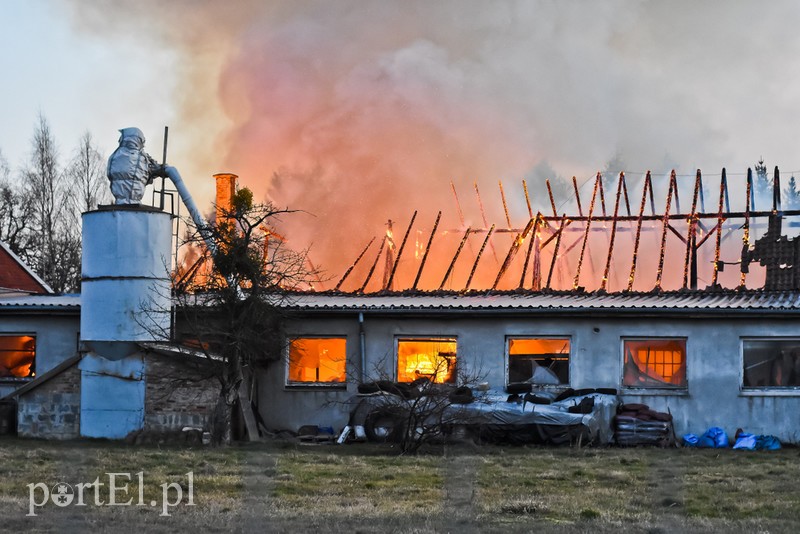 Pali się stolarnia w Dąbrowie, z ogniem walczy około 30 strażaków.