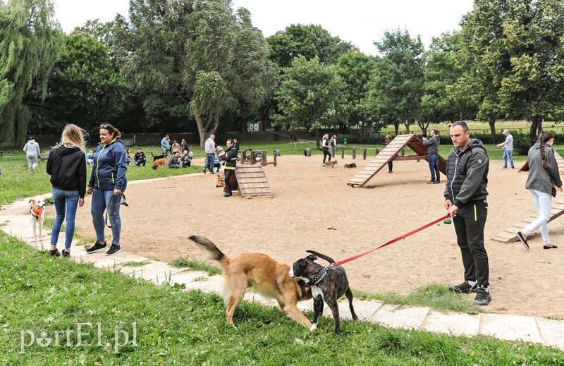 Adopsiaki mają głos