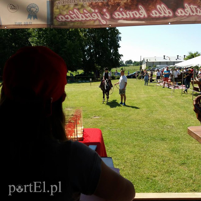 Pony Cup w Narusie