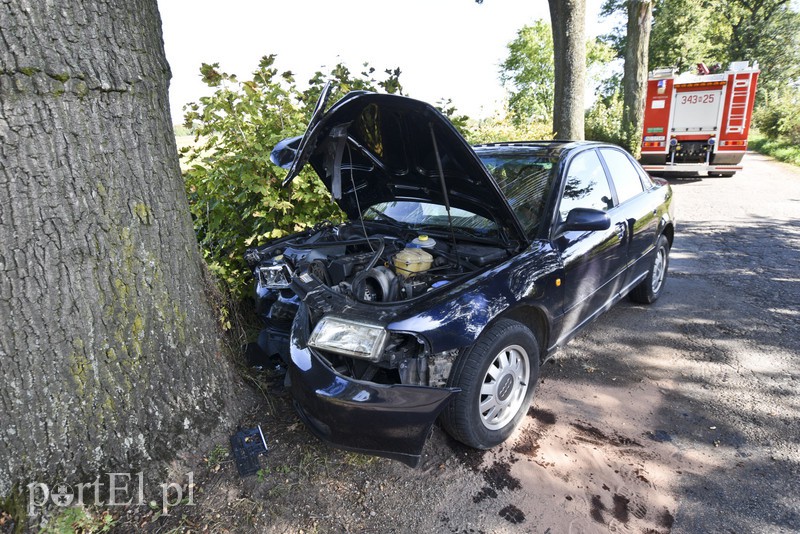 19-latka w audi uderzyła w drzewo