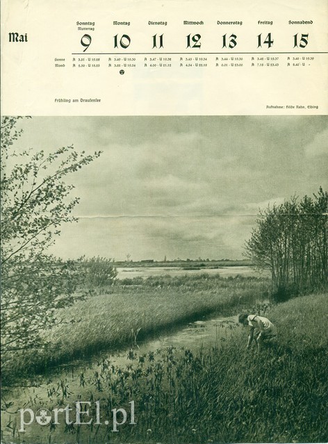 Kalendarz elbląski z 1937 r. 