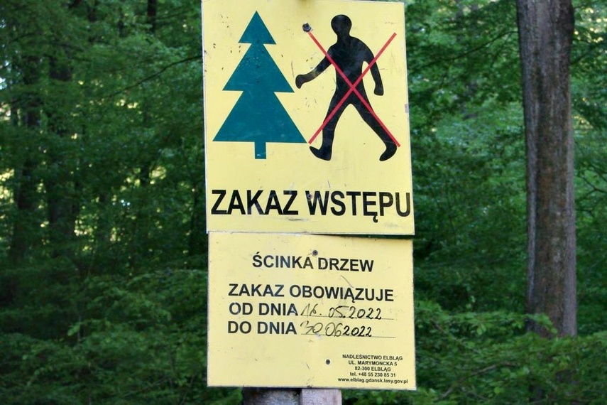 To teren chroniony. Należy natychmiast wstrzymać wycinkę