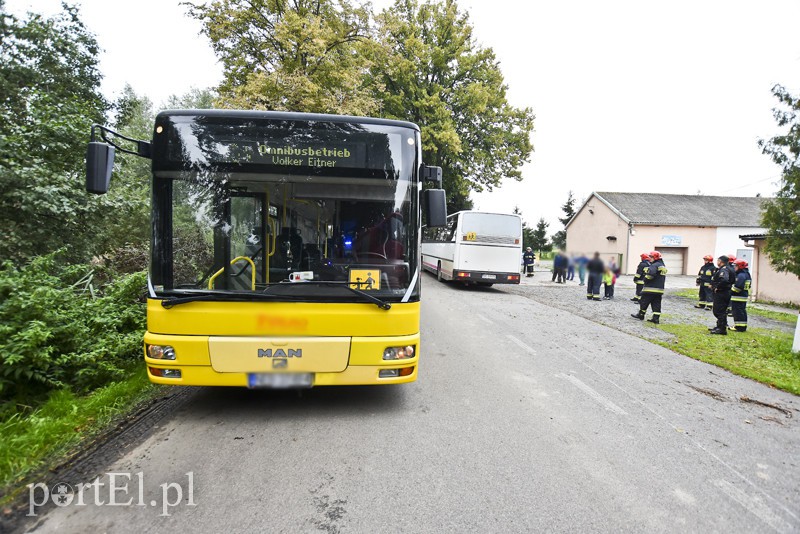 Autokar z dziećmi uderzył w drzewo