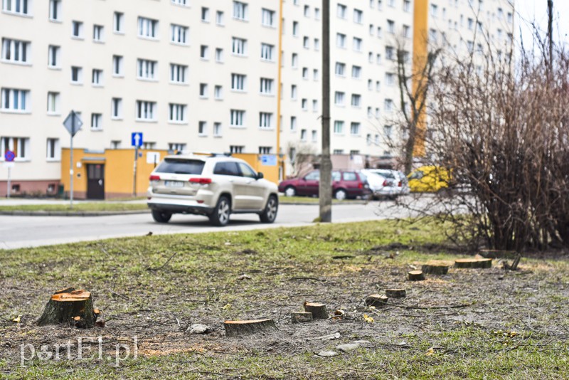 Wielkie cięcie na Zawadzie