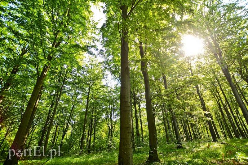 Ostre cięcie, które wyjdzie na zdrowie