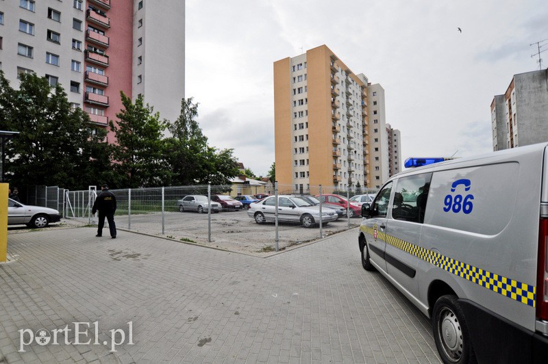  Dzik grasował na parkingu