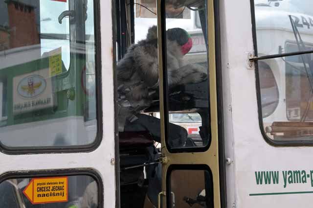 Zderzenie dwóch tramwajów - ćwiczenia