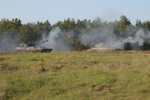 Dzik na orzyskim poligonie