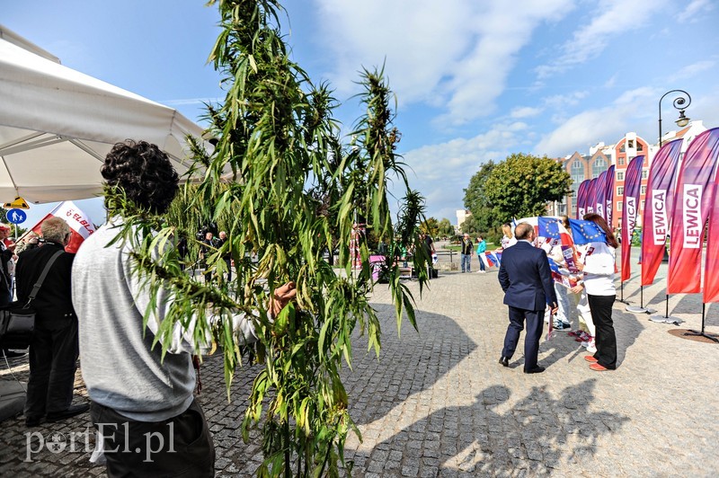 Lewica w trasie. Dziś Elbląg