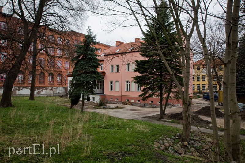 Łosoś na pałacu - hit czy kit?