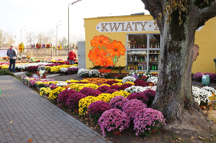 Przed Świętem Zmarłych