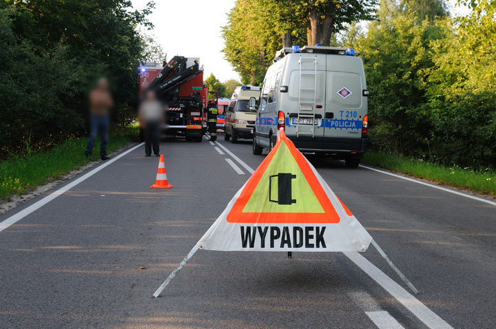 Oplem uderzył w drzewo