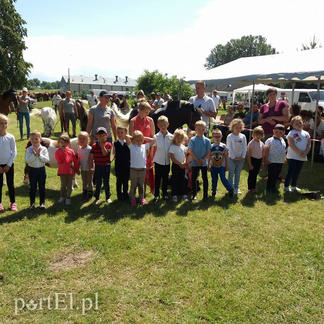 Pony Cup w Narusie