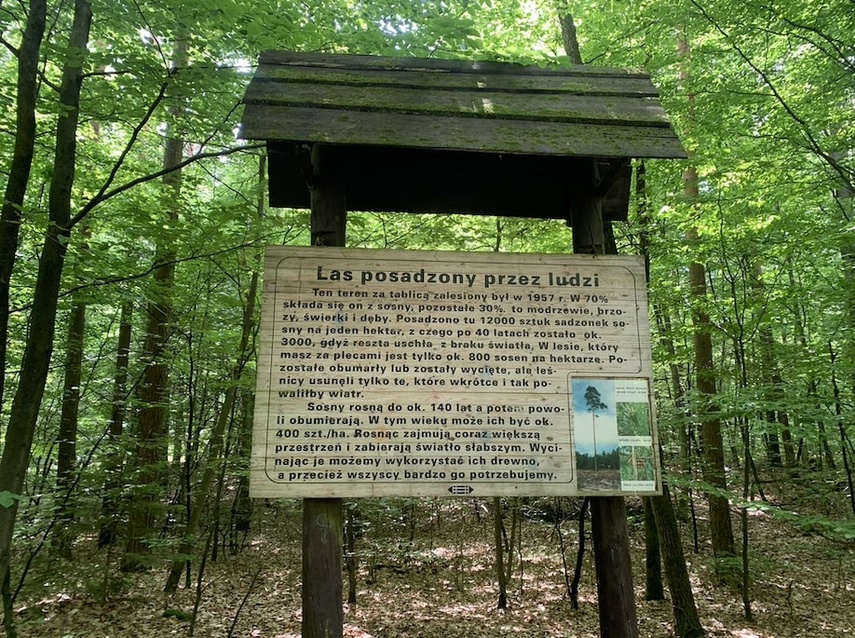 Śladami fortów nad Szelągiem