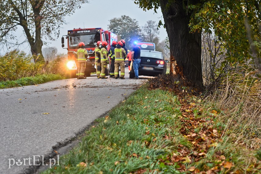 Kobieta kierująca audi uderzyła w drzewo