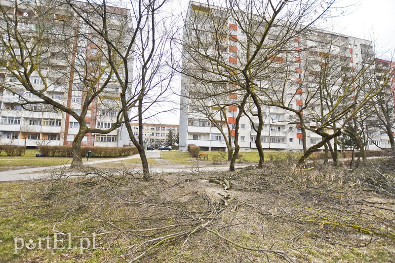Wielkie cięcie na Zawadzie