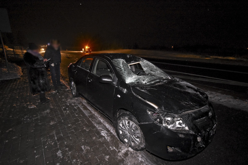 Trasa S22: Toyota i seat uderzyły w łosia