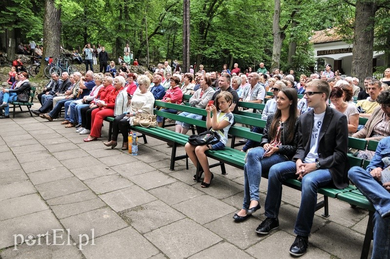 A w lesie grają!
