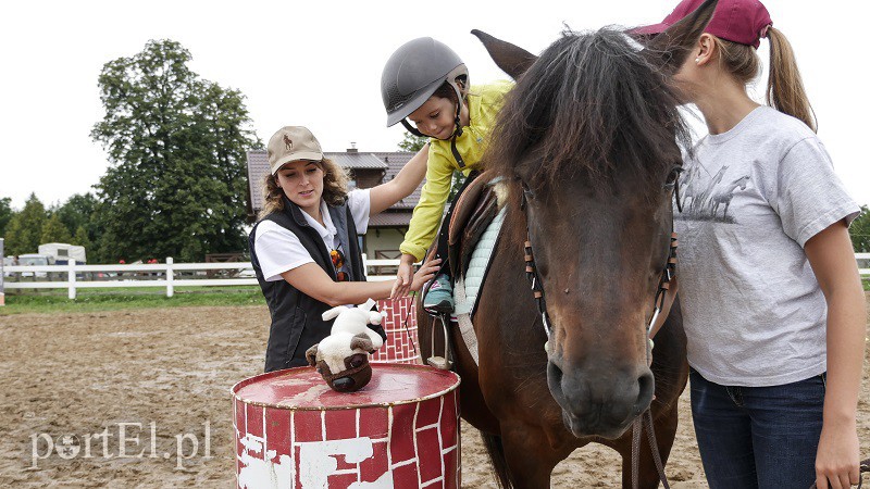  Trzecie zawody z cyklu Pony Cup już za nami