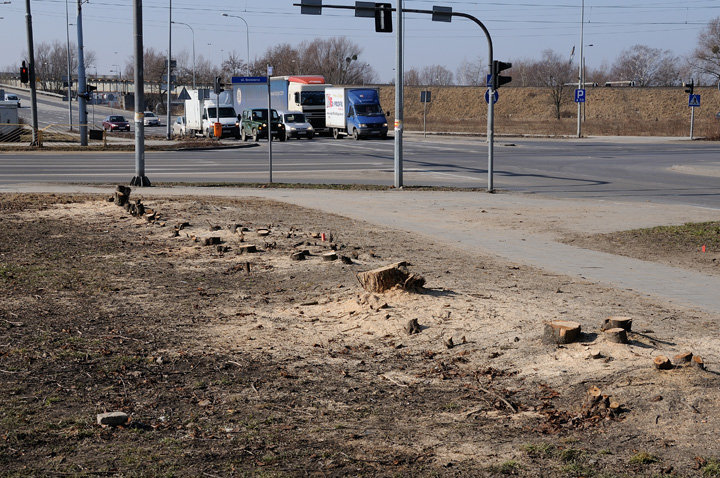 Przebudowa 503 i skrzyżowania Grota-Roweckiego z 12-go Lutego