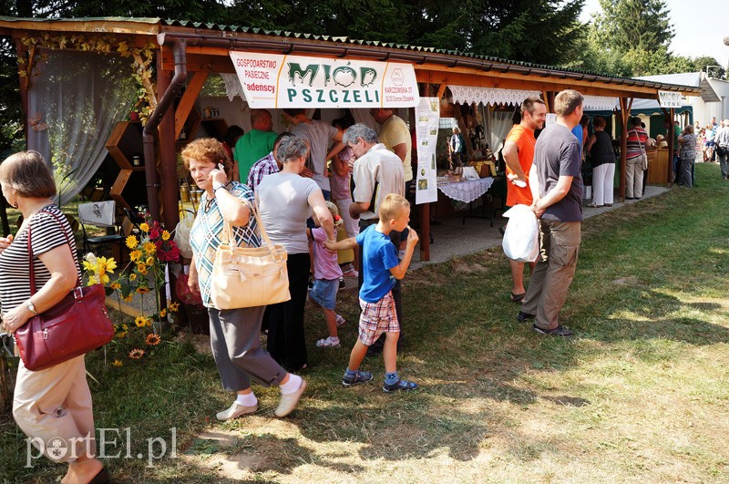 XII Targi Pszczelarskie i Tradycyjnej Żywności w Karczowiskach