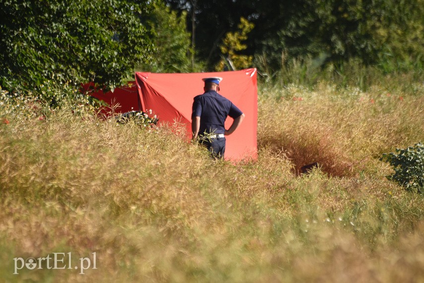 Wypadek na drodze 503. Jedna osoba nie żyje