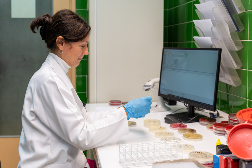 “Antybiotykoterapia musi być precyzyjna”