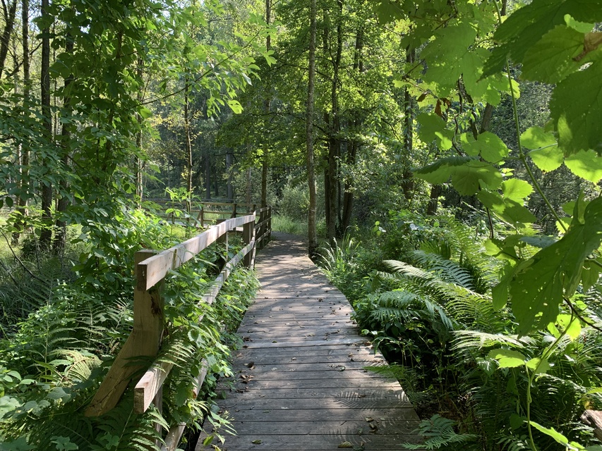 Leśne Arboretum Warmii i Mazur
