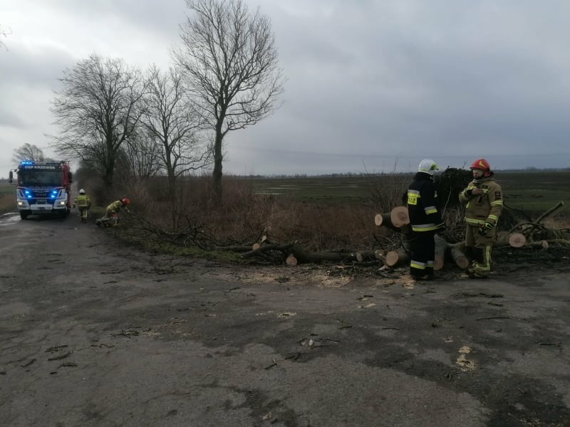 Silnie wieje w Elblągu i powiecie. Strażacy interweniowali kilkadziesiąt razy
