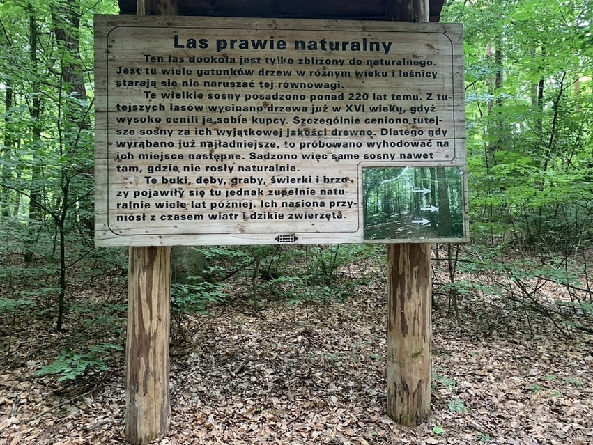 Śladami fortów nad Szelągiem