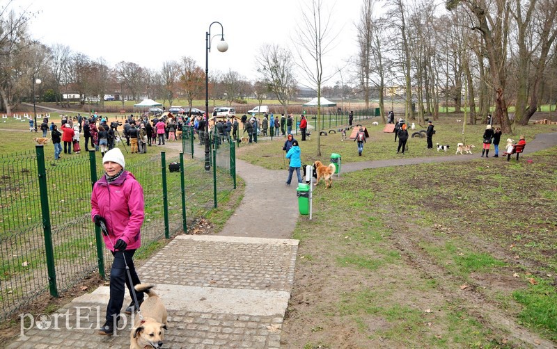 Psy będą mogły się tu wyszaleć do woli