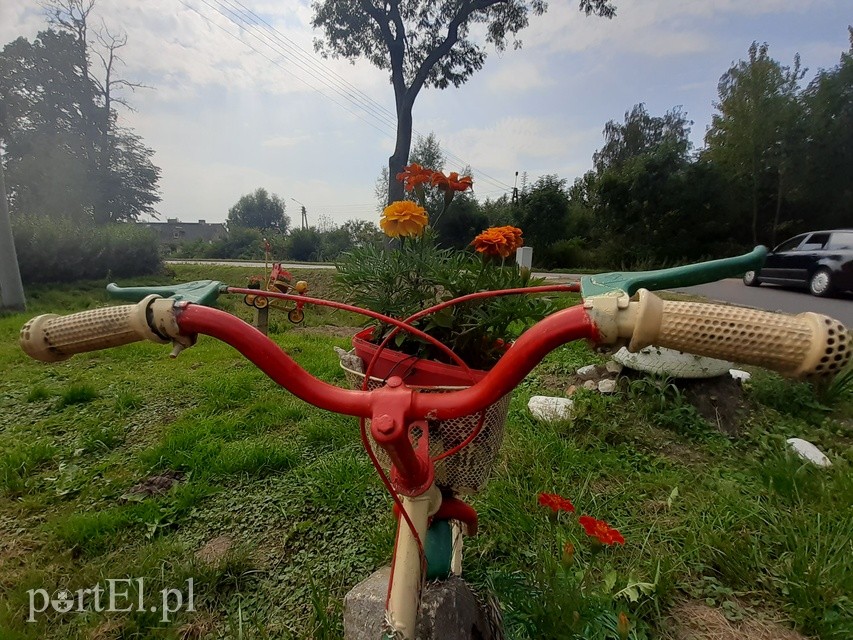 Na rower z portEl.pl: Nad Nogat