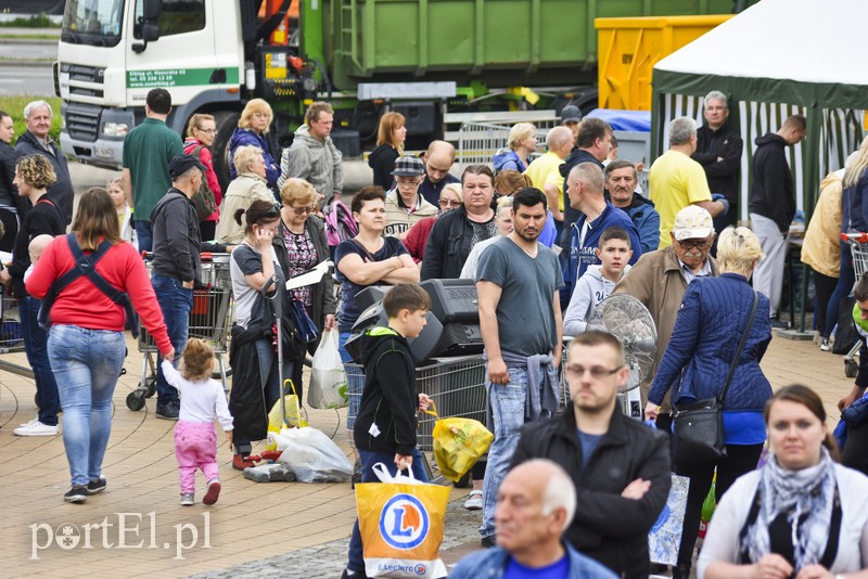 Zamieniali plastik na rośliny