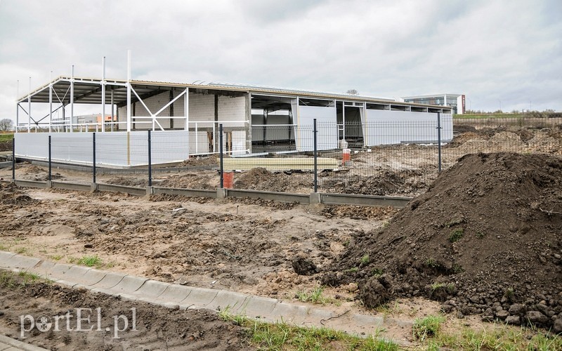 Budowa nowych hal na Modrzewinie